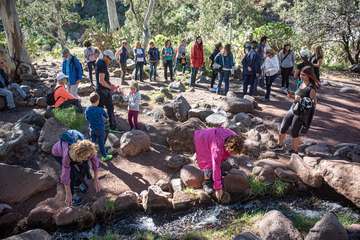 El Cabildo organiza recorridos por este monumento natural para dar a conocer su historia y sus riquezas (Foto TA)